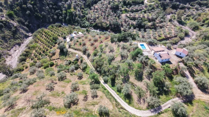 Finca - Cortijo Comares