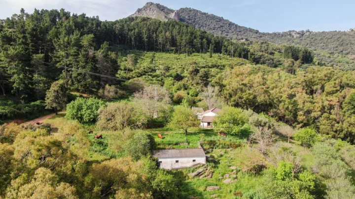 Finca - Cortijo Gaucín