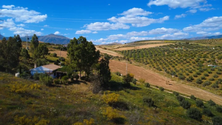 Finca - Cortijo Alora