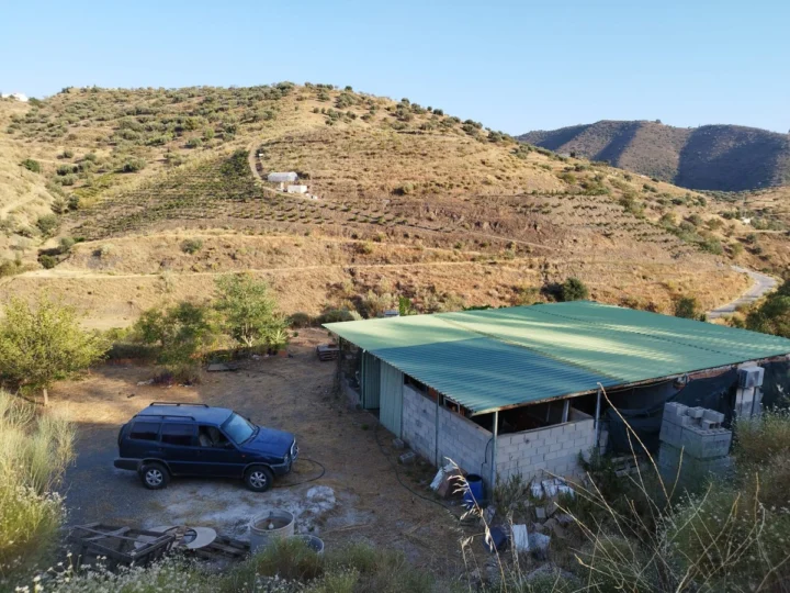 Finca - Cortijo Canillas de Aceituno