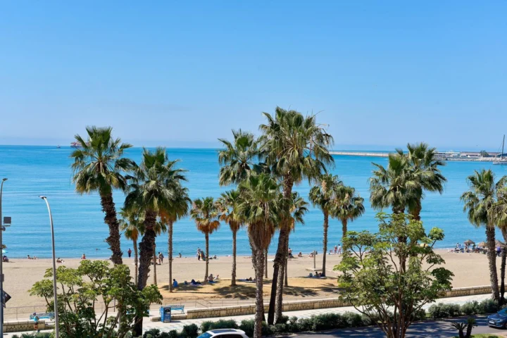 Penthouse Málaga Centro