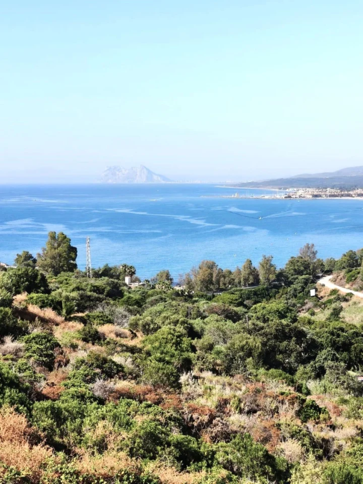Penthouse Duplex Manilva