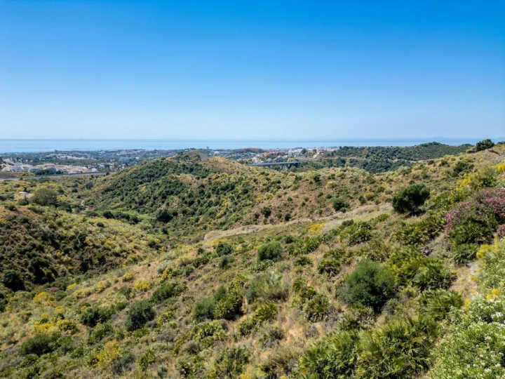 Ziemia Marbella
