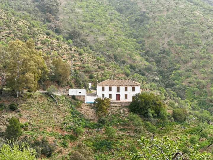 Finca - Cortijo Pinares de San Antón
