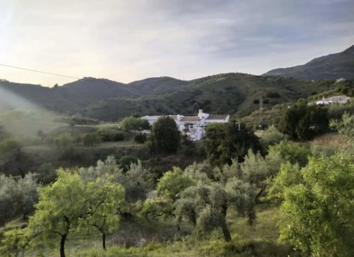 Finca - Cortijo Sedella