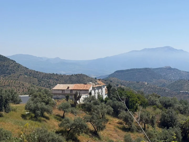 Finca - Cortijo Málaga Este