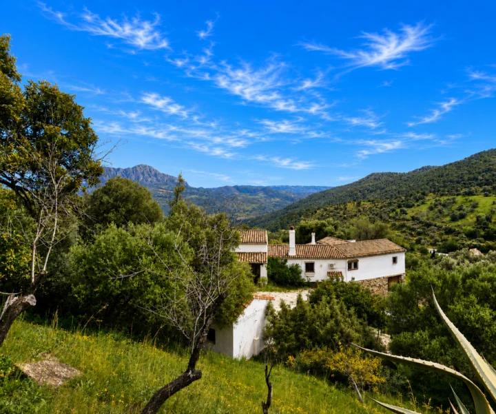 Finca - Cortijo Gaucín