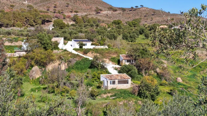 Finca - Cortijo Casarabonela