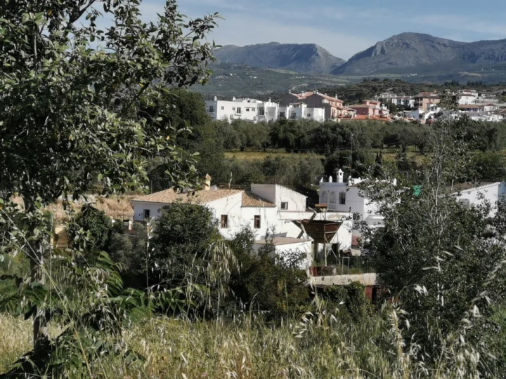 Finca - Cortijo Alcaucín