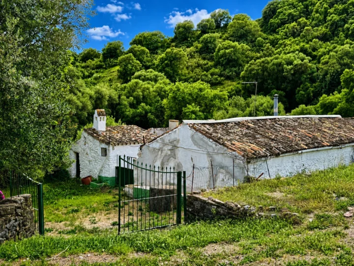Gospodarstwo Gaucín