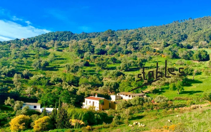 Finca - Cortijo Gaucín