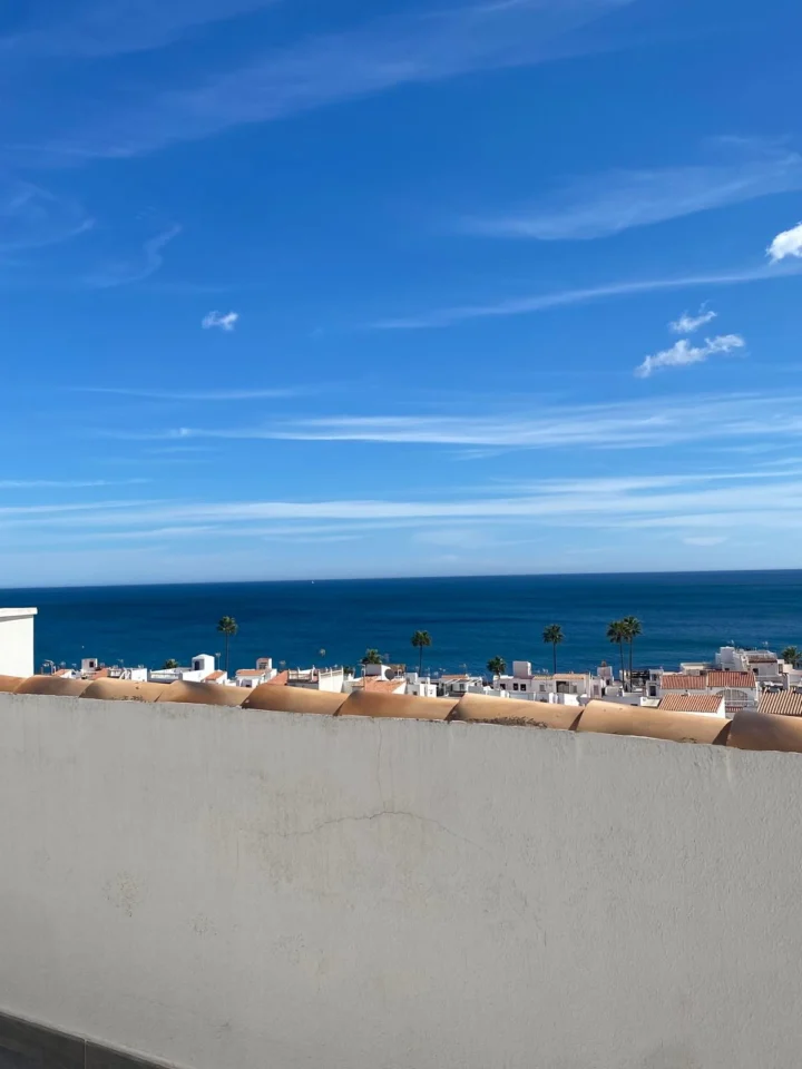 Penthouse Manilva