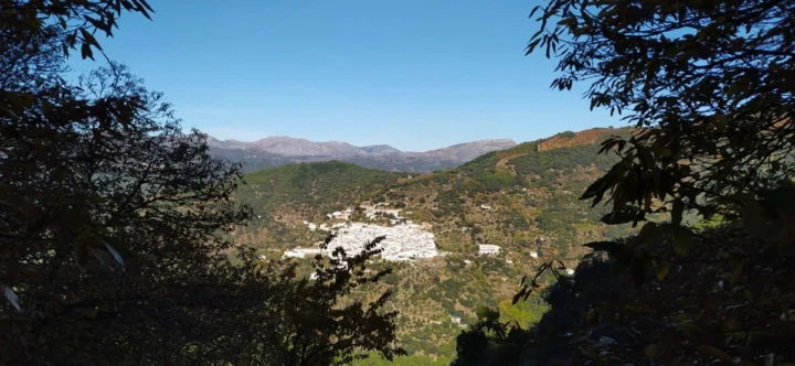 Finca - Cortijo Jubrique
