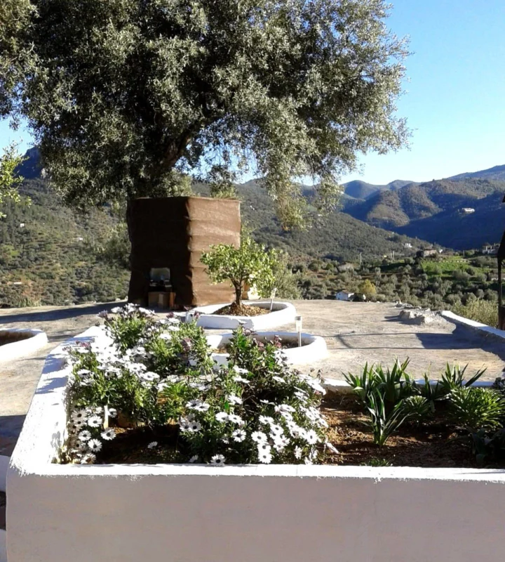 Finca - Cortijo Colmenar
